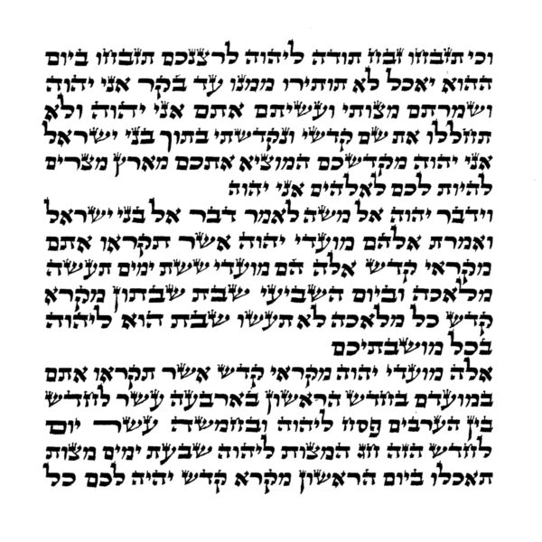 Rabbi Leiby