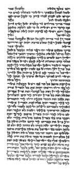 Rabbi Brauner - Ketav Bet Yosef - Torah Scroll - Image 2