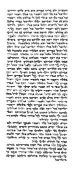 Rabbi Fedder - Ketav Bet Yosef - Torah Scroll - Image 2