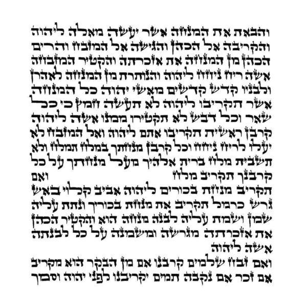 Rabbi Labin - Ketav Bet Yosef - Torah Scroll