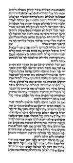 Rabbi Labin - Ketav Bet Yosef - Torah Scroll - Image 2