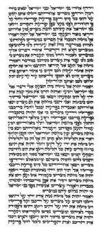Rabbi Shapiro - Ketav Bet Yosef - Torah Scroll - Image 2