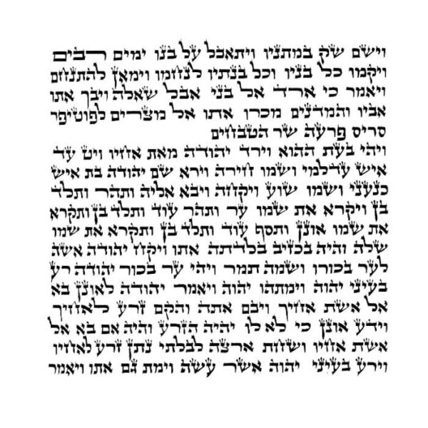 Rabbi Shtier - Ketav Bet Yosef - Torah Scroll
