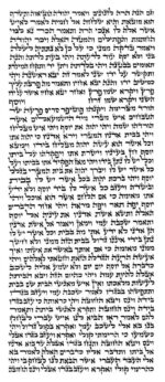 Rabbi Shtier - Ketav Bet Yosef - Torah Scroll - Image 2