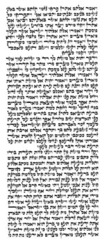 Rabbi Rosenberg - Ketav Bet Yosef - Torah Scroll - Image 2