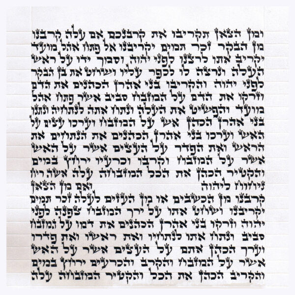 Rabbi Chaim - Ketav Arizal - Torah Scroll