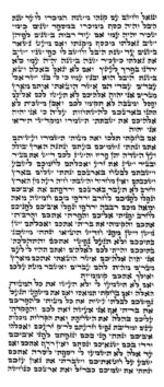 Rabbi Polchik - Ketav Arizal - Torah Scroll - Image 2