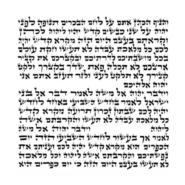 Rabbi Borland - Ketav Arizal - Torah Scroll