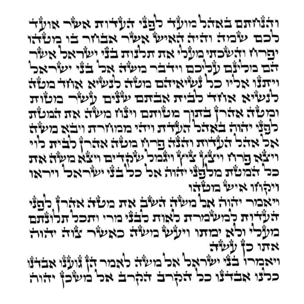 Rabbi Dahn - Ketav Arizal - Torah Scroll