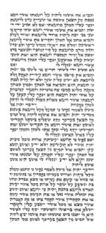 Rabbi Boronshtein - Ketav Arizal - Torah Scroll - Image 2