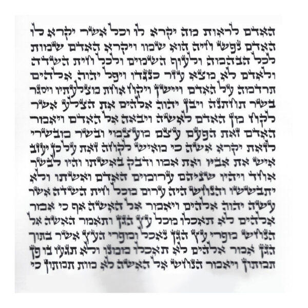 Rabbi Meirowitz - Ketav Arizal - Torah Scroll