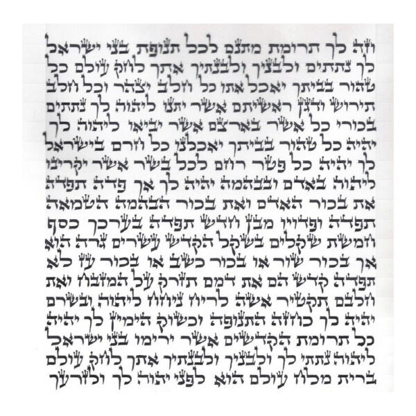 Rabbi Sheinfield - Ketav Arizal - Torah Scroll