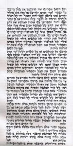 Rabbi Chaim - Ketav Arizal - Torah Scroll - Image 2