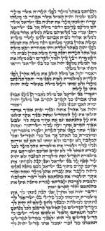 Rabbi Dahn - Ketav Arizal - Torah Scroll - Image 2