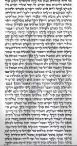 Rabbi Meirowitz - Ketav Arizal - Torah Scroll - Image 2