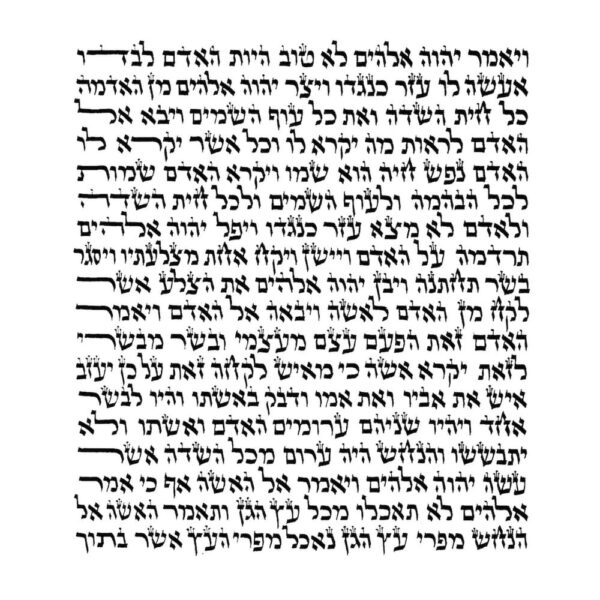 Rabbi Dahan - Ketav Sepharadi - Torah Scroll