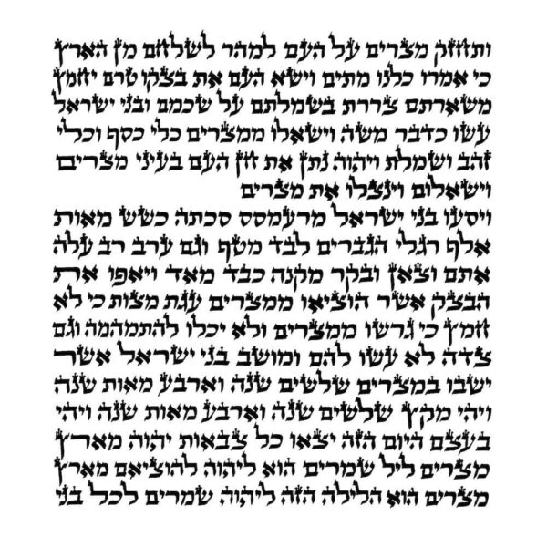 Rabbi Duvary - Ketav Sepharadi - Torah Scroll