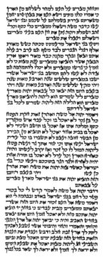 Rabbi Duvary - Ketav Sepharadi - Torah Scroll - Image 2