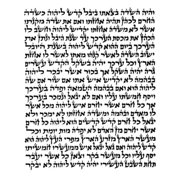 Rabbi Divon - Ketav Sepharadi - Torah Scroll