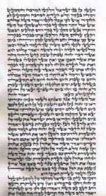 Rabbi Elharar - Ketav Sepharadi - Torah Scroll - Image 2