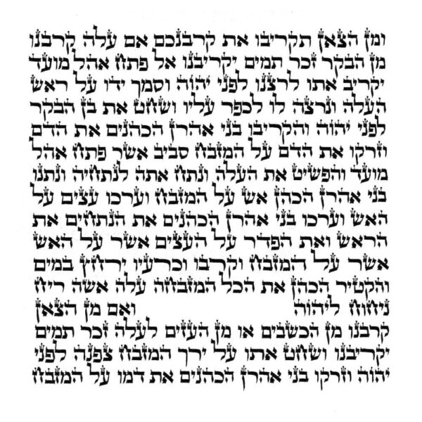Rabbi Elias - Ketav Sepharadi - Torah Scroll