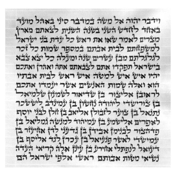 Rabbi Halevy - Ketav Sepharadi - Torah Scroll