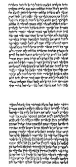 Rabbi Divon - Ketav Sepharadi - Torah Scroll - Image 2