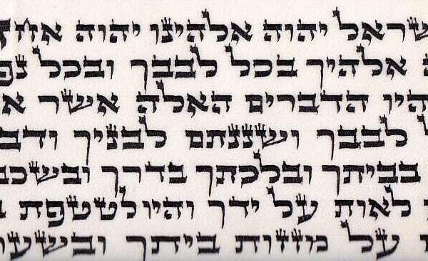 Mehudar Tefillin Parchments - Bet Yosef