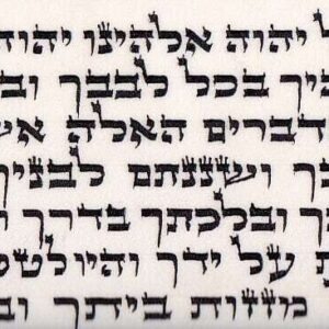 Bet Yosef Parchments for Tefillin