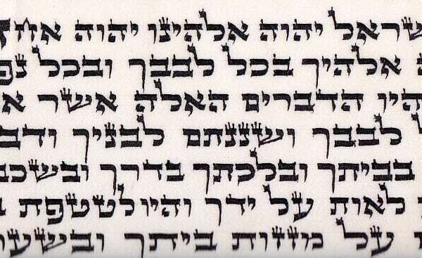 Premium Bet Yosef Tefillin Parsha