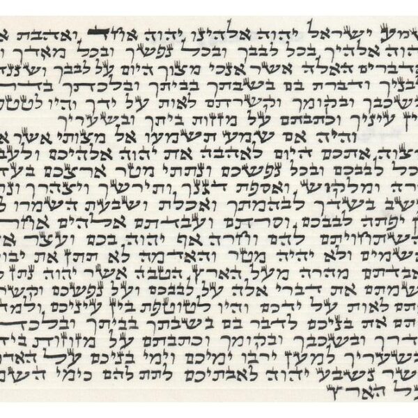 Mezuzah scroll arizal 7cm