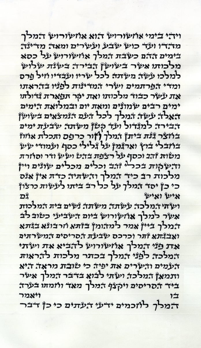 Affordable Kosher Megillah - Scroll of Esther - handwritten on 15" Parchment by R. Levi - Arizal Script