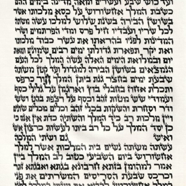 Kosher and Affordable Sephardic Megillat Esther - handwritten on 11" Parchment by R. Mizan