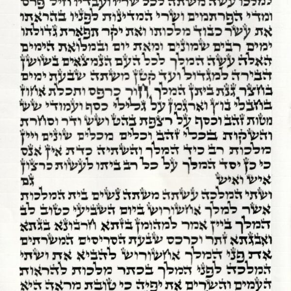 Sheiner Megillat Esther hand written on parchment in Ketav Arizal