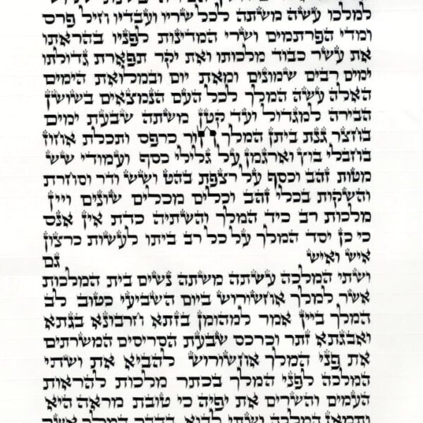 Beautiful Kosher Megillah - Scroll of Esther - handwritten on 12" Parchment by R. Dranger - Arizal Script