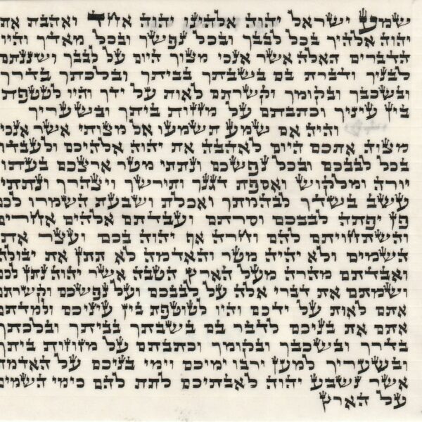 Mezuzah scroll bet yosef mehudar 10cm